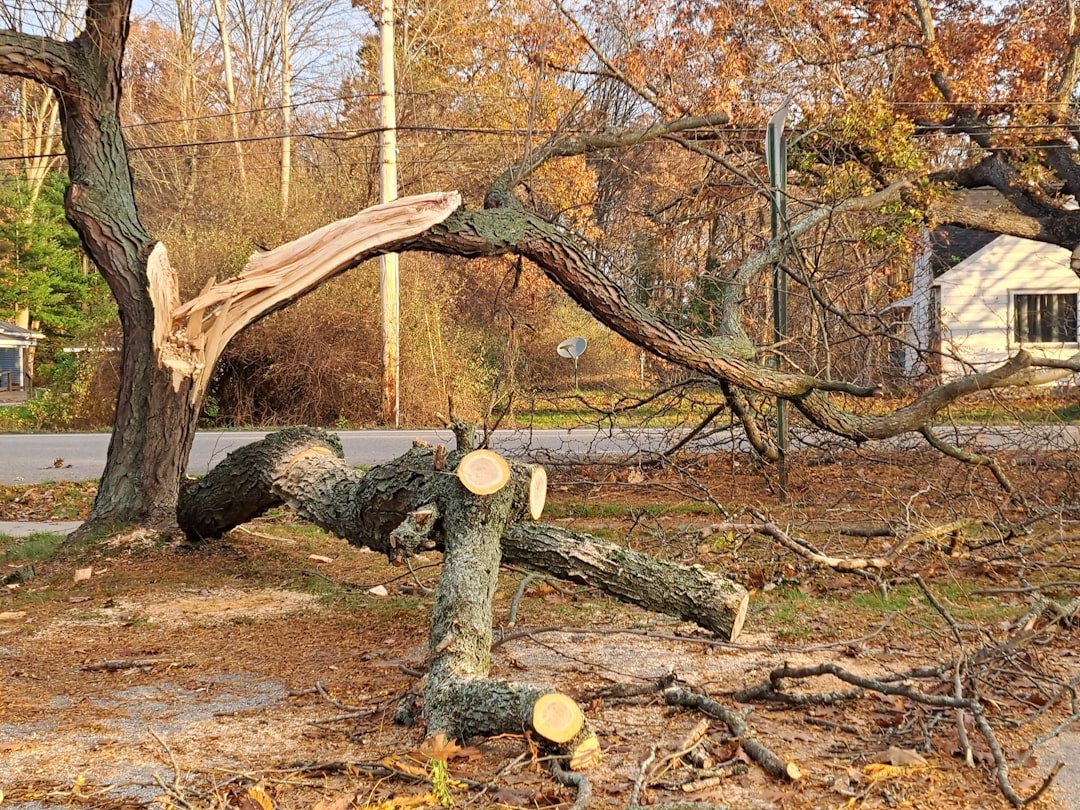 Storm Damage Claims: How $10,000 in Losses Can Surprise Homeowners