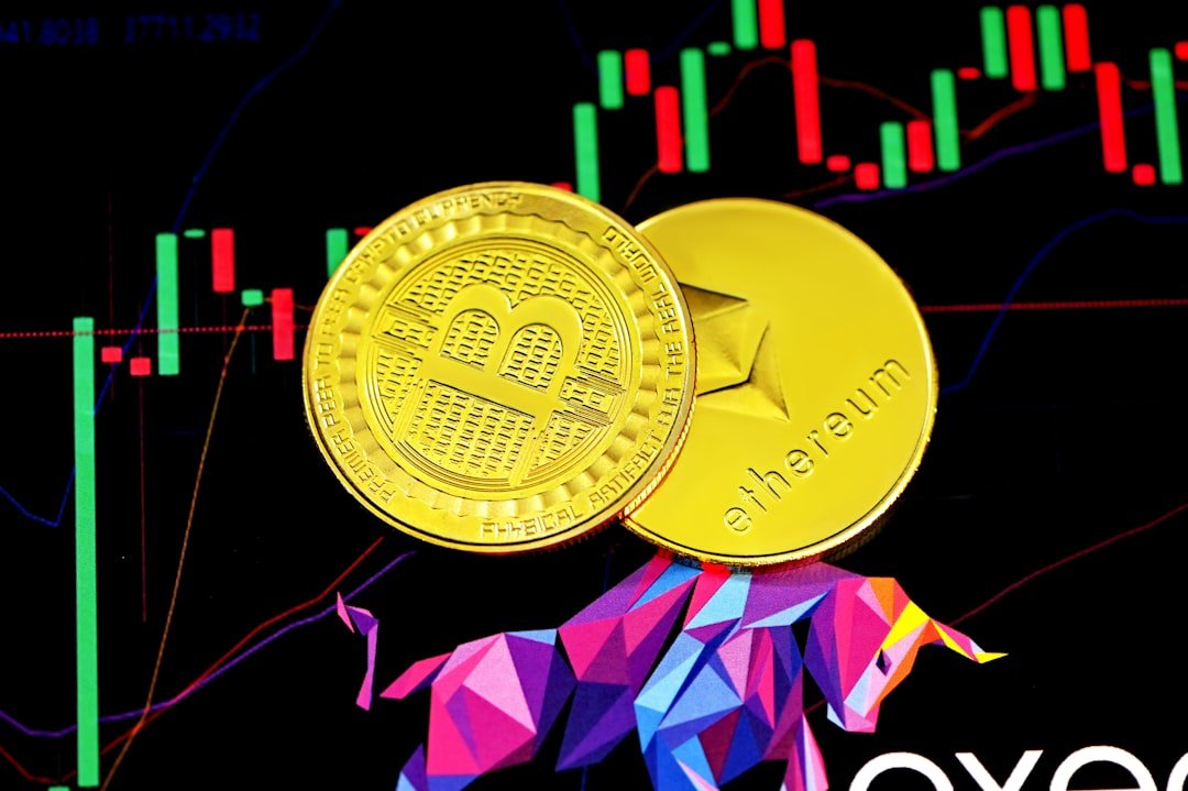 Meme Coins vs Utility Tokens: Where Smart Money is Moving in 2026