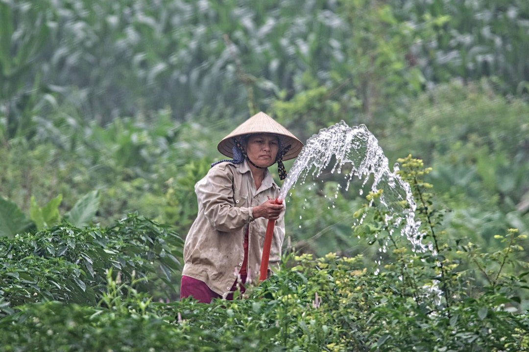 Vietnam's Economy Grows 6.2% Amid Inflation Concerns – HSBC Insights