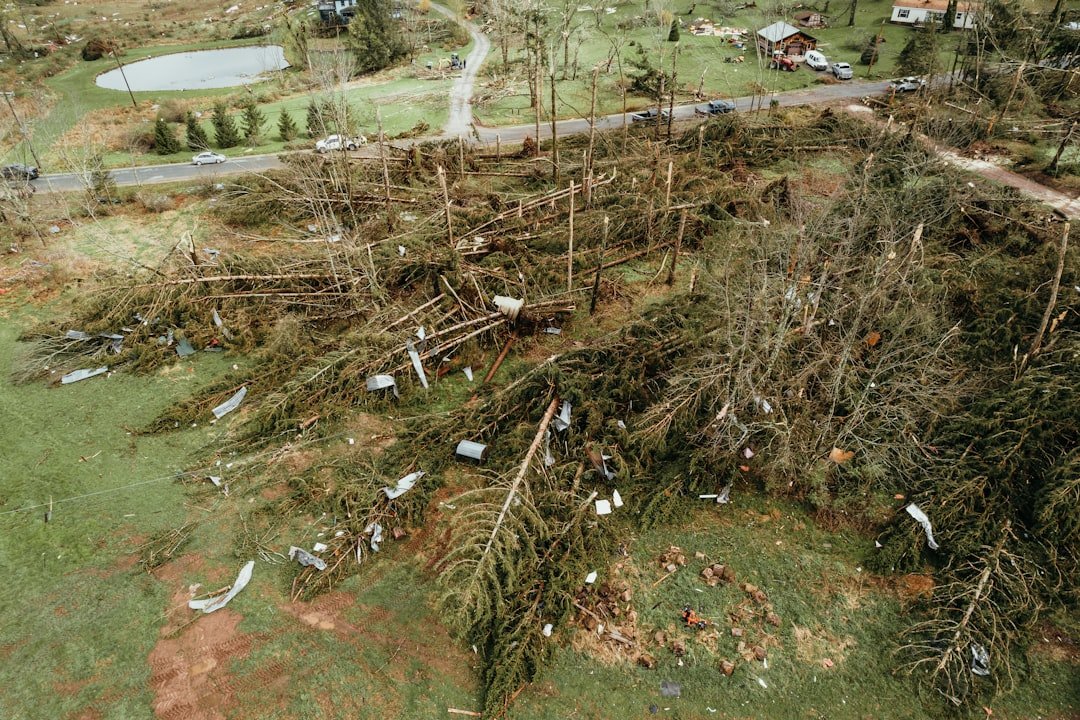 70% of Homeowners Face Insurance Claim Denials: What You Need to Know