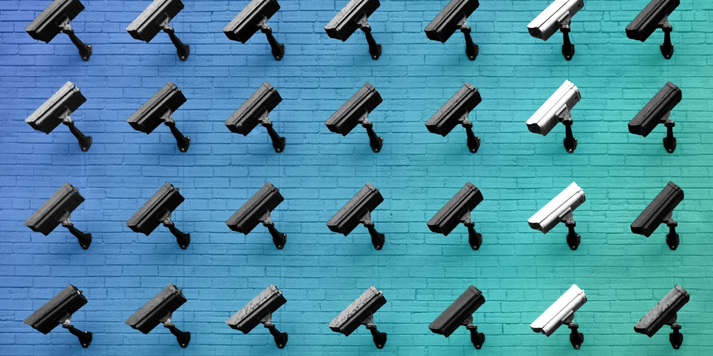 Texas Drops AI License Plate Reader Funding Amid Privacy Concerns