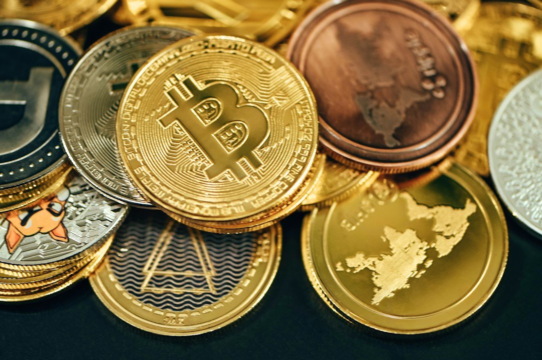 Meme Coins vs Utility Tokens: Where Smart Money is Moving in 2026