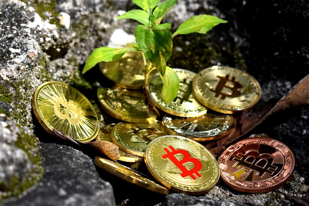 Bitcoin Market Dominance Surges Above 61%: What This Means for Altcoins