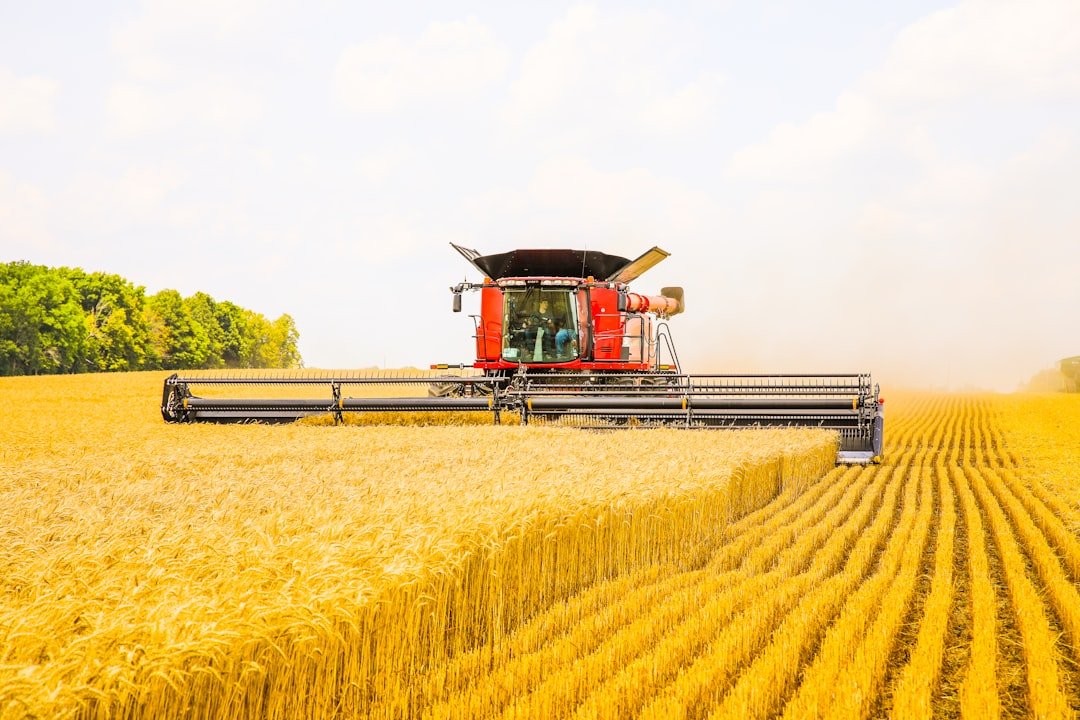 Complete guide to DeFi yield farming: risks and rewards