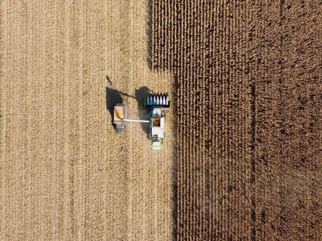Complete Guide to DeFi Yield Farming: Risks and Rewards in 2026