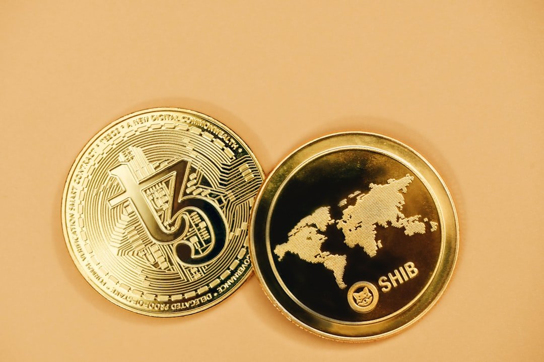 Meme Coins vs Utility Tokens: Where Smart Money is Moving in 2026