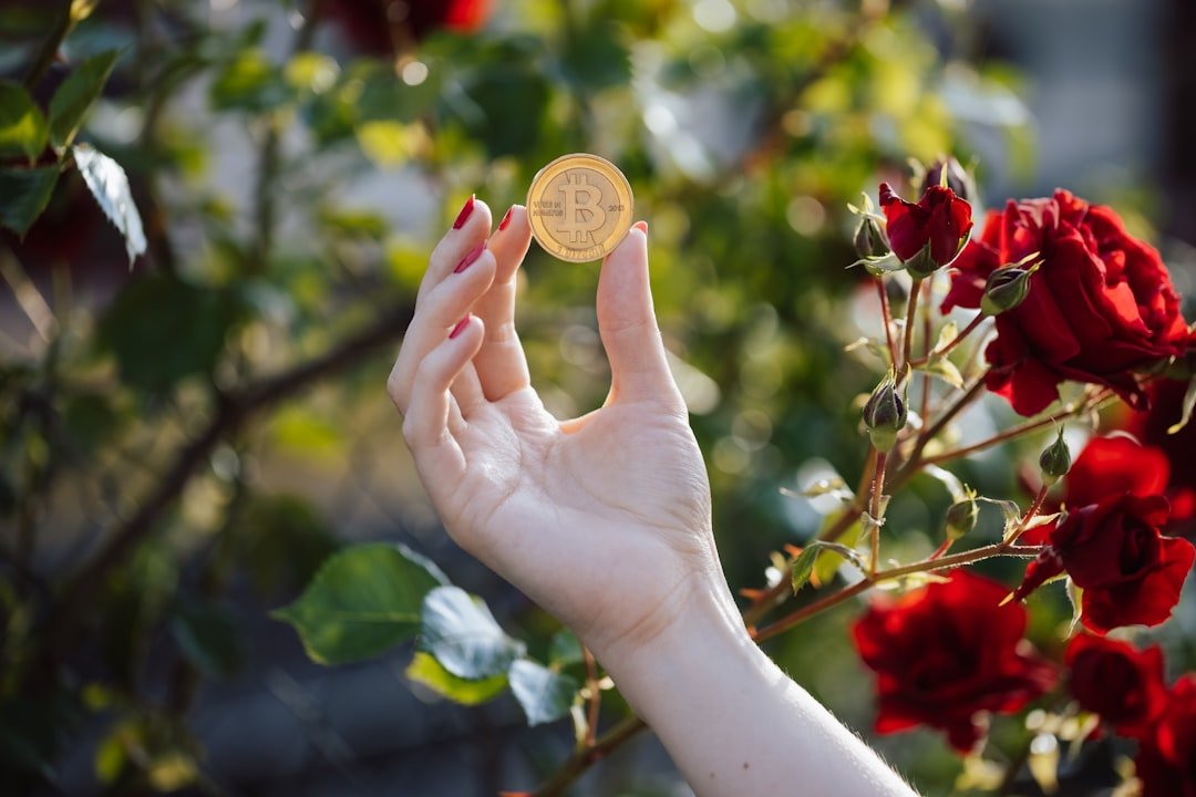 Bitcoin Price Analysis: Key Support Levels to Watch This Week (Aug 12, 2026)